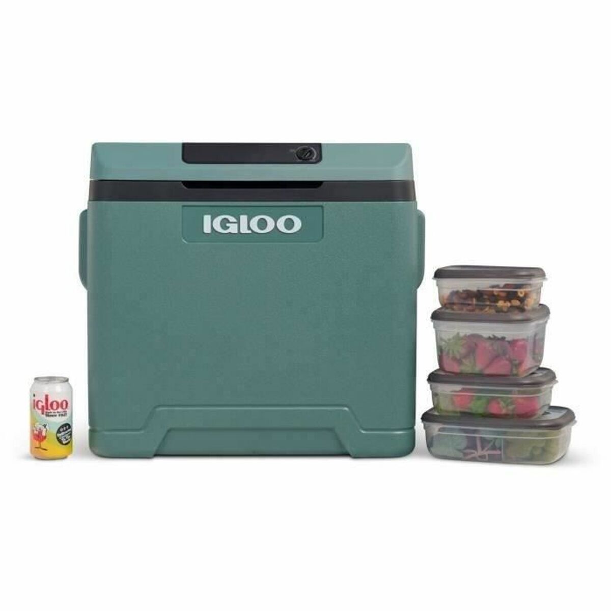 Portable Fridge Igloo71 Abeto Plastic 42 L-3