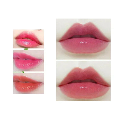 Aloe Vera Lip Balm